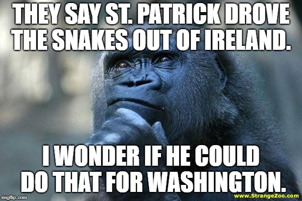 Only...he's dead.  So there's that. | THEY SAY ST. PATRICK DROVE THE SNAKES OUT OF IRELAND. I WONDER IF HE COULD DO THAT FOR WASHINGTON. | image tagged in deep thoughts,funny,politics,political meme | made w/ Imgflip meme maker