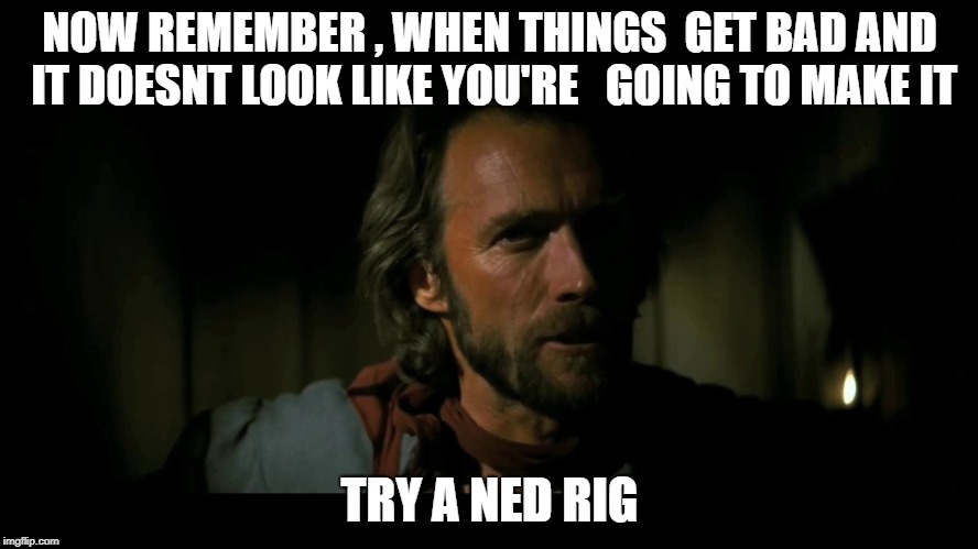 NOW REMEMBER , WHEN THINGS  GET BAD AND IT DOESNT LOOK LIKE YOU'RE   GOING TO MAKE IT; TRY A NED RIG | made w/ Imgflip meme maker