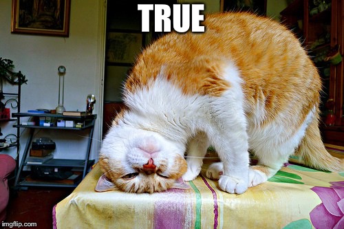 upsidedowncat | TRUE | image tagged in upsidedowncat | made w/ Imgflip meme maker