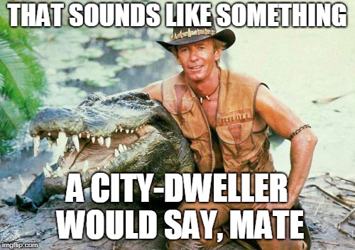 Crocodile Dundee Paul Hogan | THAT SOUNDS LIKE SOMETHING A CITY-DWELLER WOULD SAY, MATE | image tagged in crocodile dundee paul hogan | made w/ Imgflip meme maker