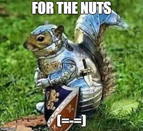 for FINNA NUT | FOR THE NUTS; (=-=) | image tagged in memes | made w/ Imgflip meme maker