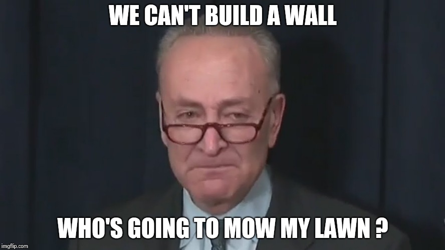 Chuck Schumer Crying | WE CAN'T BUILD A WALL WHO'S GOING TO MOW MY LAWN ? | image tagged in chuck schumer crying | made w/ Imgflip meme maker