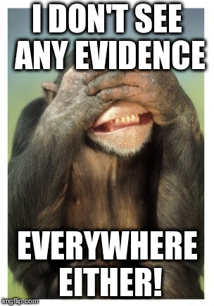 Monkey covers eyes | I DON'T SEE ANY EVIDENCE EVERYWHERE EITHER! | image tagged in monkey covers eyes | made w/ Imgflip meme maker
