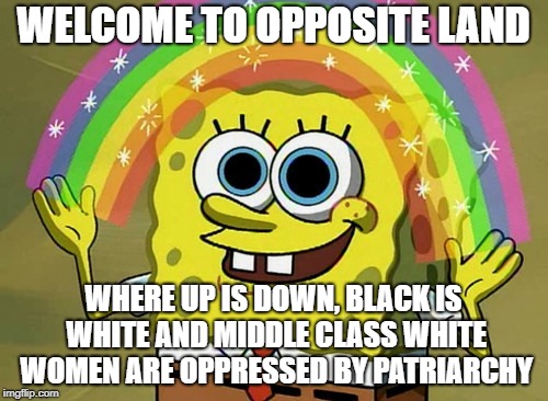 Imagination Spongebob Meme | WELCOME TO OPPOSITE LAND WHERE UP IS DOWN, BLACK IS WHITE AND MIDDLE CLASS WHITE WOMEN ARE OPPRESSED BY PATRIARCHY | image tagged in memes,imagination spongebob | made w/ Imgflip meme maker