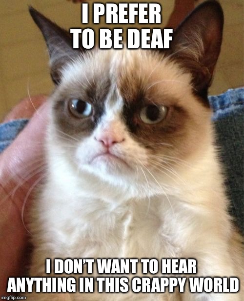 Grumpy Cat | I PREFER TO BE DEAF; I DON’T WANT TO HEAR ANYTHING IN THIS CRAPPY WORLD | image tagged in memes,grumpy cat | made w/ Imgflip meme maker