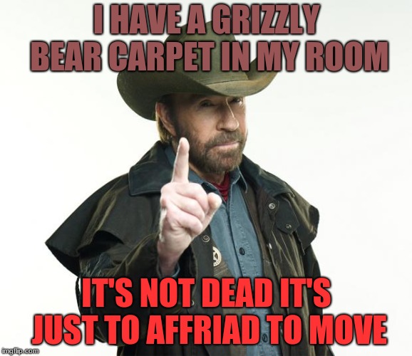 He Feeds It Daily | I HAVE A GRIZZLY BEAR CARPET IN MY ROOM; IT'S NOT DEAD IT'S JUST TO AFFRIAD TO MOVE | image tagged in memes,chuck norris finger,chuck norris,funny,carpet,grizzly bear | made w/ Imgflip meme maker