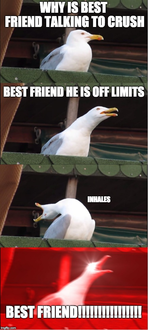 Inhaling Seagull | WHY IS BEST FRIEND TALKING TO CRUSH; BEST FRIEND HE IS OFF LIMITS; INHALES; BEST FRIEND!!!!!!!!!!!!!!!! | image tagged in memes,inhaling seagull | made w/ Imgflip meme maker