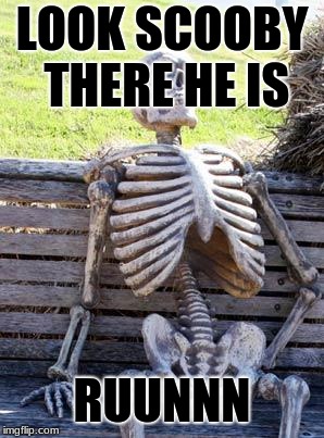 Waiting Skeleton | LOOK SCOOBY THERE HE IS; RUUNNN | image tagged in memes,waiting skeleton | made w/ Imgflip meme maker