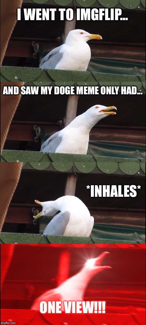 Inhaling Seagull | I WENT TO IMGFLIP... AND SAW MY DOGE MEME ONLY HAD... *INHALES*; ONE VIEW!!! | image tagged in memes,inhaling seagull | made w/ Imgflip meme maker