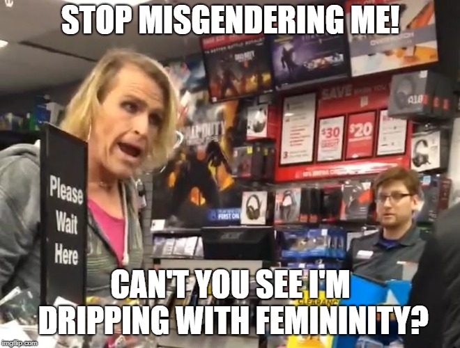 Gamestop | STOP MISGENDERING ME! CAN'T YOU SEE I'M DRIPPING WITH FEMININITY? | image tagged in gamestop | made w/ Imgflip meme maker