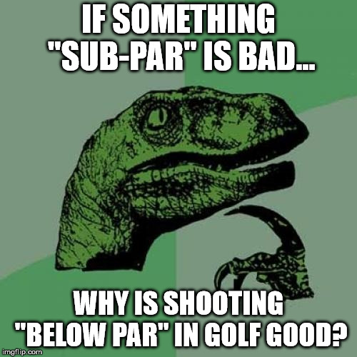 Philosoraptor Meme | IF SOMETHING "SUB-PAR" IS BAD... WHY IS SHOOTING "BELOW PAR" IN GOLF GOOD? | image tagged in memes,philosoraptor | made w/ Imgflip meme maker