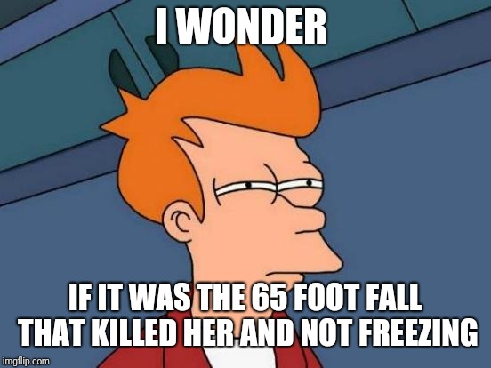 Futurama Fry Meme | I WONDER IF IT WAS THE 65 FOOT FALL THAT KILLED HER AND NOT FREEZING | image tagged in memes,futurama fry | made w/ Imgflip meme maker
