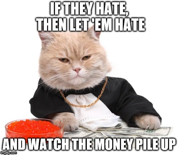 fat money cat | IF THEY HATE, THEN LET 'EM HATE; AND WATCH THE MONEY PILE UP | image tagged in fat money cat | made w/ Imgflip meme maker