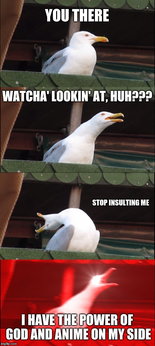Inhaling Seagull | YOU THERE; WATCHA' LOOKIN' AT, HUH??? STOP INSULTING ME; I HAVE THE POWER OF GOD AND ANIME ON MY SIDE | image tagged in memes,inhaling seagull | made w/ Imgflip meme maker