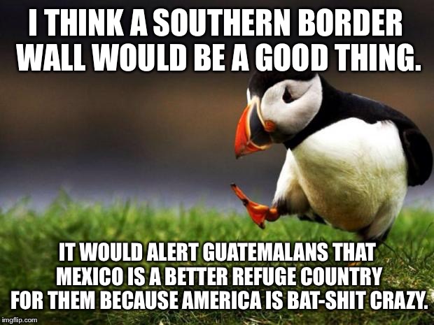 Put in a wall...that says “Insane Asylum.” | I THINK A SOUTHERN BORDER WALL WOULD BE A GOOD THING. IT WOULD ALERT GUATEMALANS THAT MEXICO IS A BETTER REFUGE COUNTRY FOR THEM BECAUSE AMERICA IS BAT-SHIT CRAZY. | image tagged in memes,unpopular opinion puffin,insanity,illegal immigration,crazy,border wall | made w/ Imgflip meme maker