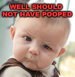Skeptical Baby Meme | WELL SHOULD NOT HAVE POOPED | image tagged in memes,skeptical baby | made w/ Imgflip meme maker