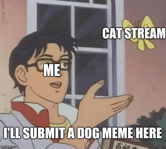 Is This A Pigeon Meme | CAT STREAM; ME; I'LL SUBMIT A DOG MEME HERE | image tagged in memes,is this a pigeon | made w/ Imgflip meme maker
