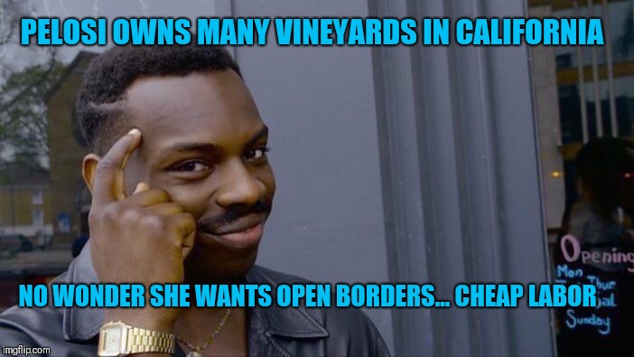 Roll Safe Think About It |  PELOSI OWNS MANY VINEYARDS IN CALIFORNIA; NO WONDER SHE WANTS OPEN BORDERS... CHEAP LABOR | image tagged in memes,roll safe think about it | made w/ Imgflip meme maker