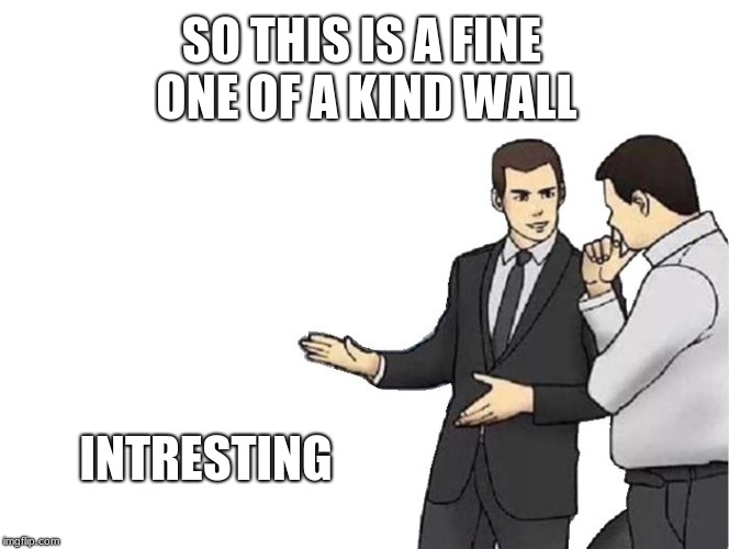 Car Salesman Slaps Hood Meme | SO THIS IS A FINE ONE OF A KIND WALL; INTRESTING | image tagged in memes,car salesman slaps hood | made w/ Imgflip meme maker