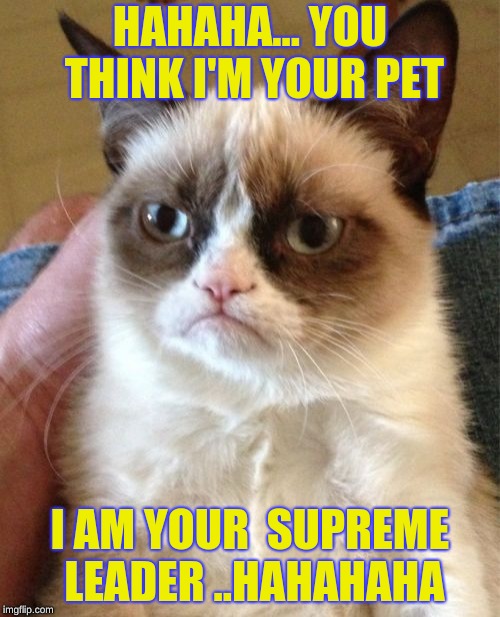 Grumpy Cat Meme | HAHAHA... YOU THINK I'M YOUR PET; I AM YOUR  SUPREME LEADER ..HAHAHAHA | image tagged in memes,grumpy cat | made w/ Imgflip meme maker