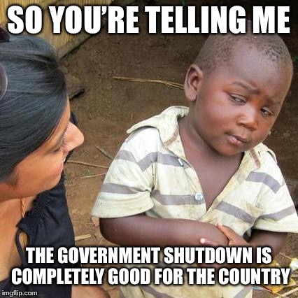 Third World Politically Influenced Kid | SO YOU’RE TELLING ME; THE GOVERNMENT SHUTDOWN IS COMPLETELY GOOD FOR THE COUNTRY | image tagged in memes,third world skeptical kid,politics | made w/ Imgflip meme maker
