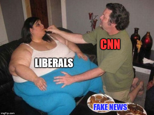 Believing everything they are being fed by lying CNN | CNN; LIBERALS; FAKE NEWS | image tagged in being fed | made w/ Imgflip meme maker