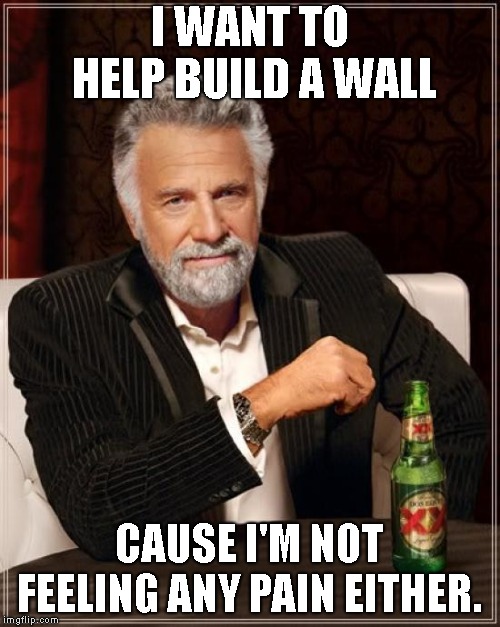 The Most Interesting Man In The World Meme | I WANT TO HELP BUILD A WALL CAUSE I'M NOT FEELING ANY PAIN EITHER. | image tagged in memes,the most interesting man in the world | made w/ Imgflip meme maker