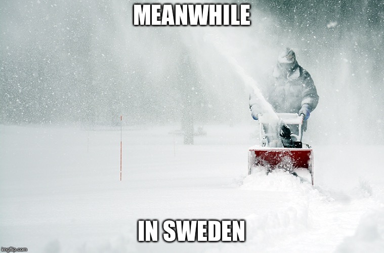 MEANWHILE IN SWEDEN | made w/ Imgflip meme maker