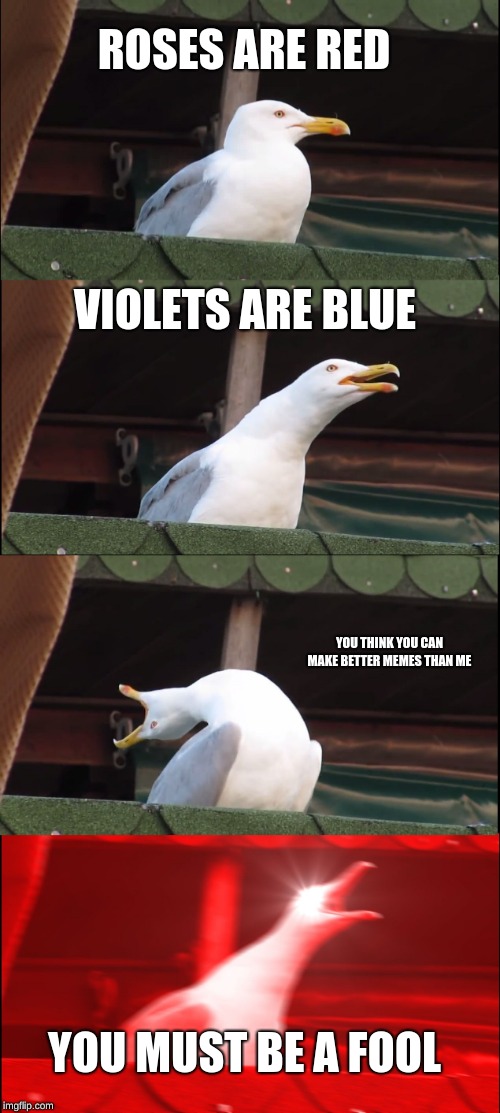 Inhaling Seagull | ROSES ARE RED; VIOLETS ARE BLUE; YOU THINK YOU CAN MAKE BETTER MEMES THAN ME; YOU MUST BE A FOOL | image tagged in memes,inhaling seagull | made w/ Imgflip meme maker