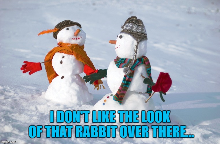 snowmen | I DON'T LIKE THE LOOK OF THAT RABBIT OVER THERE... | image tagged in snowmen | made w/ Imgflip meme maker