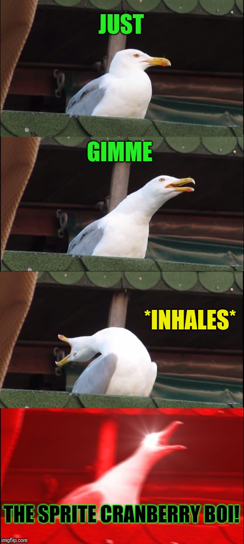 Inhaling Seagull Meme | JUST GIMME *INHALES* THE SPRITE CRANBERRY BOI! | image tagged in memes,inhaling seagull | made w/ Imgflip meme maker