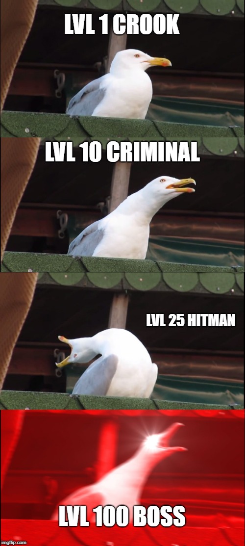 Inhaling Seagull Meme | LVL 1 CROOK; LVL 10 CRIMINAL; LVL 25 HITMAN; LVL 100 BOSS | image tagged in memes,inhaling seagull | made w/ Imgflip meme maker