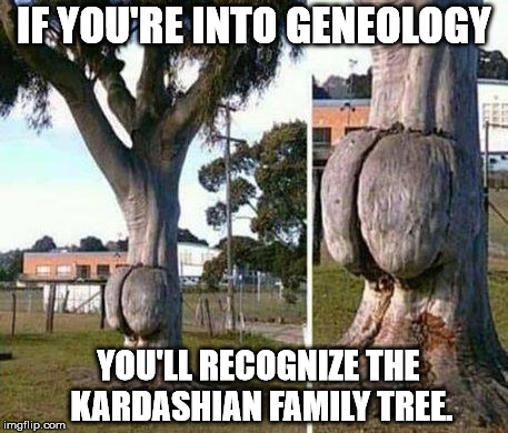 It looks better on the tree. | IF YOU'RE INTO GENEOLOGY; YOU'LL RECOGNIZE THE KARDASHIAN FAMILY TREE. | image tagged in tree | made w/ Imgflip meme maker