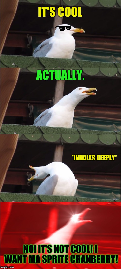 Inhaling Seagull Meme | IT'S COOL ACTUALLY. *INHALES DEEPLY* NO! IT'S NOT COOL! I WANT MA SPRITE CRANBERRY! | image tagged in memes,inhaling seagull | made w/ Imgflip meme maker