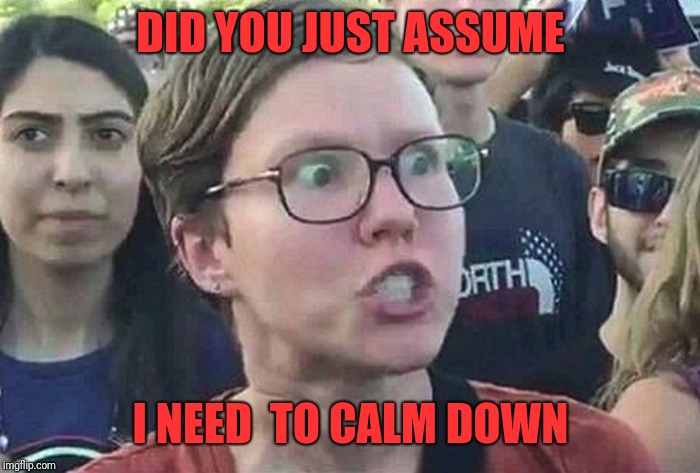 Triggered Liberal | DID YOU JUST ASSUME I NEED  TO CALM DOWN | image tagged in triggered liberal | made w/ Imgflip meme maker