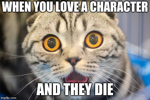 WHEN YOU LOVE A CHARACTER; AND THEY DIE | image tagged in funny cats | made w/ Imgflip meme maker
