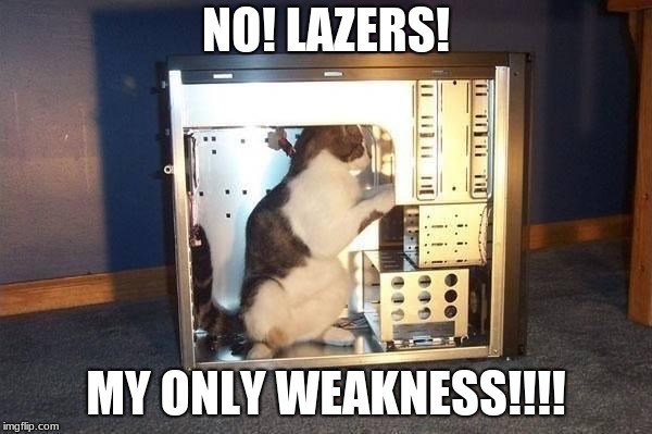 cat in computer | NO! LAZERS! MY ONLY WEAKNESS!!!! | image tagged in cat in computer | made w/ Imgflip meme maker