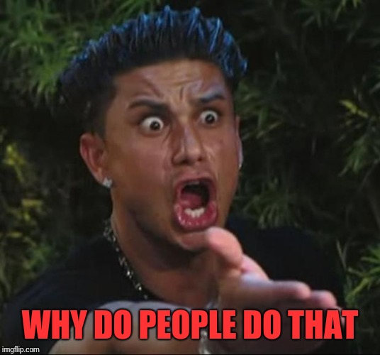 DJ Pauly D Meme | WHY DO PEOPLE DO THAT | image tagged in memes,dj pauly d | made w/ Imgflip meme maker