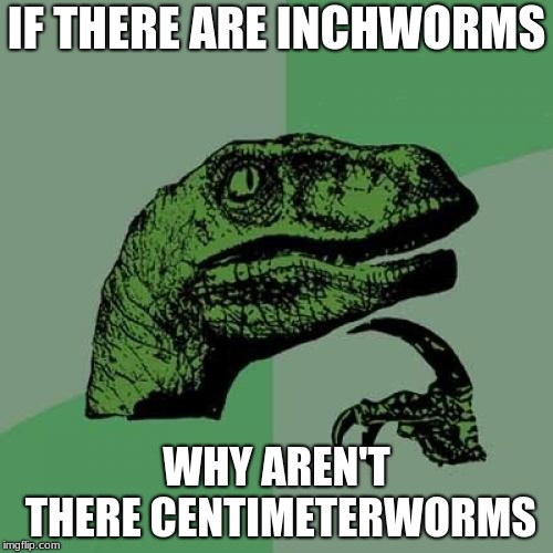 Philosoraptor | IF THERE ARE INCHWORMS; WHY AREN'T THERE CENTIMETERWORMS | image tagged in memes,philosoraptor | made w/ Imgflip meme maker