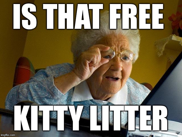 Grandma Finds The Internet Meme | IS THAT FREE; KITTY LITTER | image tagged in memes,grandma finds the internet | made w/ Imgflip meme maker