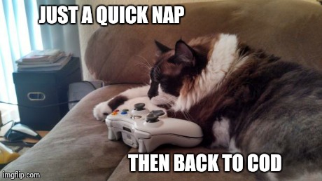 Cat nap | JUST A QUICK NAP THEN BACK TO COD | image tagged in cod,cats,video games | made w/ Imgflip meme maker