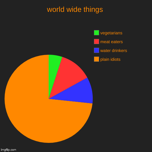 world wide things | plain idiots, water drinkers, meat eaters, vegetarians | image tagged in funny,pie charts | made w/ Imgflip chart maker