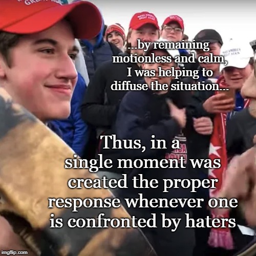 Covington Kid | ...by remaining motionless and calm, I was helping to diffuse the situation... Thus, in a single moment was created the proper response whenever one is confronted by haters | image tagged in covington,haters,protest,freedom of speech,peaceful protest,right to gather | made w/ Imgflip meme maker