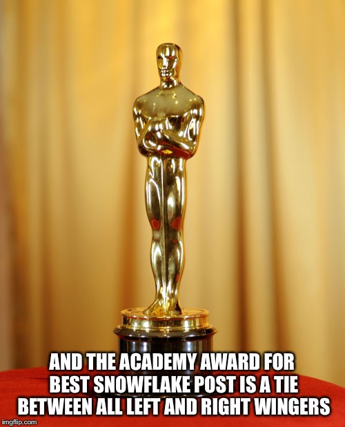 Academy award | AND THE ACADEMY AWARD FOR BEST SNOWFLAKE POST IS A TIE BETWEEN ALL LEFT AND RIGHT WINGERS | image tagged in academy award | made w/ Imgflip meme maker