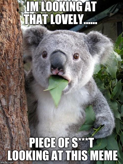 Surprised Koala | IM LOOKING AT THAT LOVELY...... PIECE OF S***T LOOKING AT THIS MEME | image tagged in memes,surprised koala | made w/ Imgflip meme maker