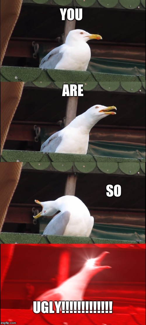 Inhaling Seagull | YOU; ARE; SO; UGLY!!!!!!!!!!!!! | image tagged in memes,inhaling seagull | made w/ Imgflip meme maker