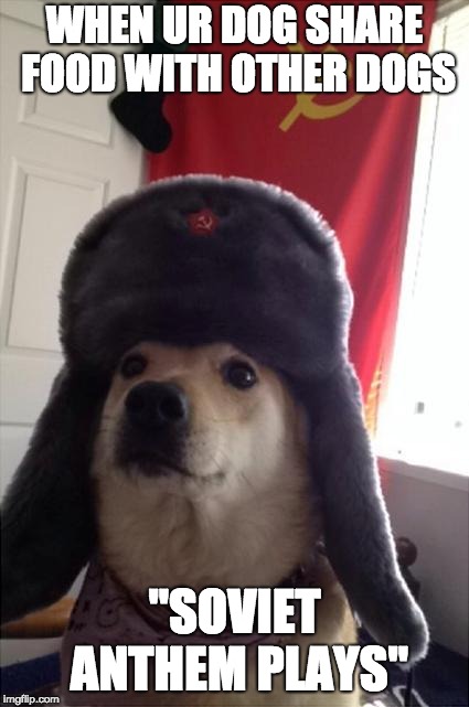 communist dog | WHEN UR DOG SHARE FOOD WITH OTHER DOGS; ''SOVIET ANTHEM PLAYS'' | image tagged in communist dog | made w/ Imgflip meme maker