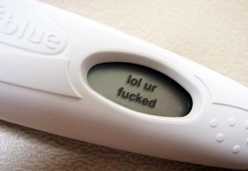 image tagged in funny