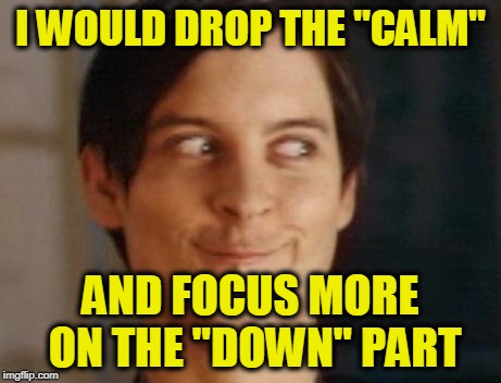 Spiderman Peter Parker Meme | I WOULD DROP THE "CALM" AND FOCUS MORE ON THE "DOWN" PART | image tagged in memes,spiderman peter parker | made w/ Imgflip meme maker