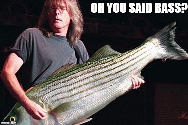 Oh You Said Bass? | OH YOU SAID BASS? | image tagged in bassplayermemes,bass,funny,bassplayer,bas,hilarious | made w/ Imgflip meme maker